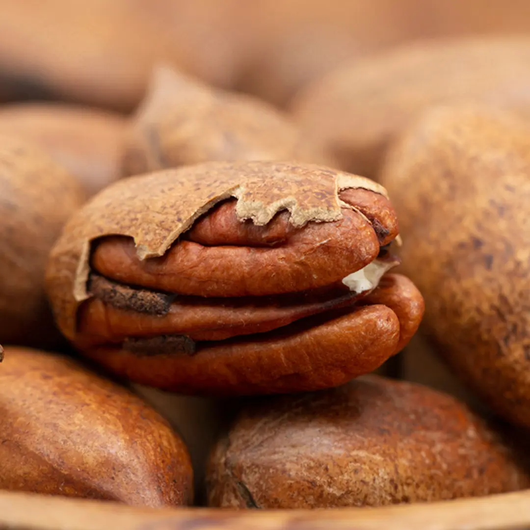 Орех Пекан Carya illinoinensis